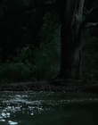 Filename=Jasper_Jones_mp45083.jpg
Filesize=242KiB
Dimensions=1280x544
Date added=Aug 17, 2021 Jasper_Jones_mp45083.jpg
