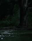 Filename=Jasper_Jones_mp45084.jpg
Filesize=243KiB
Dimensions=1280x544
Date added=Aug 17, 2021 Jasper_Jones_mp45084.jpg