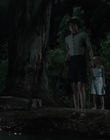 Filename=Jasper_Jones_mp45093.jpg
Filesize=244KiB
Dimensions=1280x544
Date added=Aug 17, 2021 Jasper_Jones_mp45093.jpg