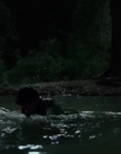Filename=Jasper_Jones_mp45111.jpg
Filesize=176KiB
Dimensions=1280x544
Date added=Aug 17, 2021 Jasper_Jones_mp45111.jpg