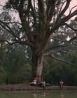 Filename=Jasper_Jones_mp45154.jpg
Filesize=492KiB
Dimensions=1280x544
Date added=Aug 17, 2021 Jasper_Jones_mp45154.jpg