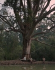 Filename=Jasper_Jones_mp45156.jpg
Filesize=496KiB
Dimensions=1280x544
Date added=Aug 17, 2021 Jasper_Jones_mp45156.jpg