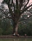 Filename=Jasper_Jones_mp45157.jpg
Filesize=499KiB
Dimensions=1280x544
Date added=Aug 17, 2021 Jasper_Jones_mp45157.jpg
