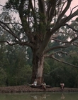 Filename=Jasper_Jones_mp45158.jpg
Filesize=497KiB
Dimensions=1280x544
Date added=Aug 17, 2021 Jasper_Jones_mp45158.jpg