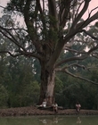 Filename=Jasper_Jones_mp45159.jpg
Filesize=495KiB
Dimensions=1280x544
Date added=Aug 17, 2021 Jasper_Jones_mp45159.jpg