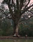 Filename=Jasper_Jones_mp45160.jpg
Filesize=499KiB
Dimensions=1280x544
Date added=Aug 17, 2021 Jasper_Jones_mp45160.jpg