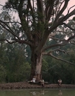 Filename=Jasper_Jones_mp45161.jpg
Filesize=494KiB
Dimensions=1280x544
Date added=Aug 17, 2021 Jasper_Jones_mp45161.jpg