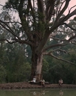 Filename=Jasper_Jones_mp45162.jpg
Filesize=498KiB
Dimensions=1280x544
Date added=Aug 17, 2021 Jasper_Jones_mp45162.jpg