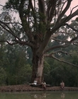 Filename=Jasper_Jones_mp45163.jpg
Filesize=492KiB
Dimensions=1280x544
Date added=Aug 17, 2021 Jasper_Jones_mp45163.jpg