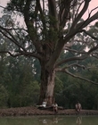 Filename=Jasper_Jones_mp45164.jpg
Filesize=497KiB
Dimensions=1280x544
Date added=Aug 17, 2021 Jasper_Jones_mp45164.jpg