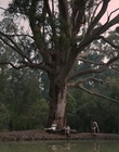Filename=Jasper_Jones_mp45165.jpg
Filesize=497KiB
Dimensions=1280x544
Date added=Aug 17, 2021 Jasper_Jones_mp45165.jpg
