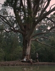 Filename=Jasper_Jones_mp45168.jpg
Filesize=494KiB
Dimensions=1280x544
Date added=Aug 17, 2021 Jasper_Jones_mp45168.jpg