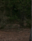 Filename=Jasper_Jones_mp45195.jpg
Filesize=210KiB
Dimensions=1280x544
Date added=Aug 17, 2021 Jasper_Jones_mp45195.jpg