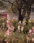 Filename=Jasper_Jones_mp45203.jpg
Filesize=527KiB
Dimensions=1280x544
Date added=Aug 17, 2021 Jasper_Jones_mp45203.jpg