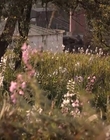 Filename=Jasper_Jones_mp45207.jpg
Filesize=532KiB
Dimensions=1280x544
Date added=Aug 17, 2021 Jasper_Jones_mp45207.jpg