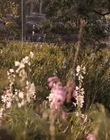 Filename=Jasper_Jones_mp45213.jpg
Filesize=490KiB
Dimensions=1280x544
Date added=Aug 17, 2021 Jasper_Jones_mp45213.jpg