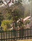 Filename=Jasper_Jones_mp45548.jpg
Filesize=425KiB
Dimensions=1280x544
Date added=Aug 17, 2021 Jasper_Jones_mp45548.jpg