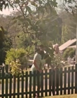 Filename=Jasper_Jones_mp45549.jpg
Filesize=419KiB
Dimensions=1280x544
Date added=Aug 17, 2021 Jasper_Jones_mp45549.jpg