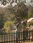 Filename=Jasper_Jones_mp45550.jpg
Filesize=403KiB
Dimensions=1280x544
Date added=Aug 17, 2021 Jasper_Jones_mp45550.jpg