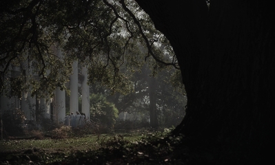 The_Beguiled_mp40469.jpg