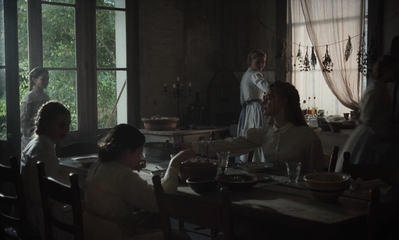 The_Beguiled_mp41228.jpg