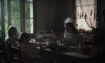 The_Beguiled_mp41234.jpg