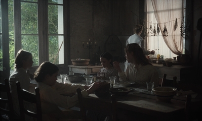 The_Beguiled_mp41235.jpg