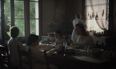 The_Beguiled_mp41248.jpg