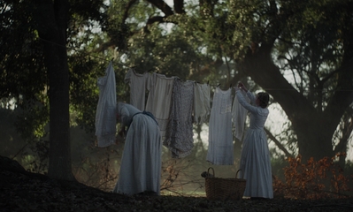 The_Beguiled_mp41284.jpg