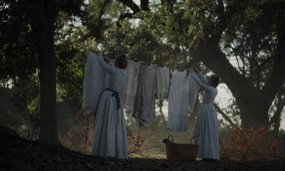 The_Beguiled_mp41289.jpg