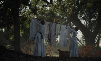 The_Beguiled_mp41290.jpg