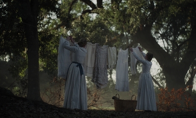 The_Beguiled_mp41291.jpg