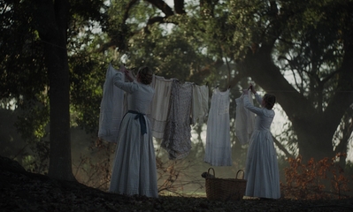 The_Beguiled_mp41292.jpg