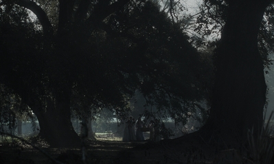 The_Beguiled_mp43862.jpg