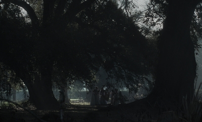 The_Beguiled_mp43864.jpg