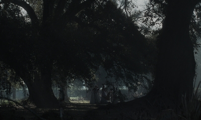 The_Beguiled_mp43865.jpg