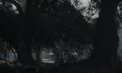 The_Beguiled_mp43866.jpg