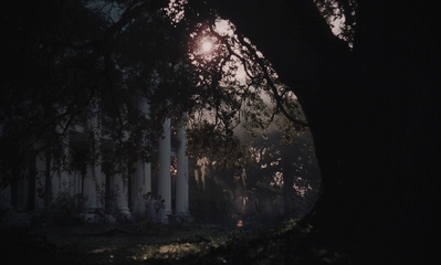 The_Beguiled_mp45218.jpg