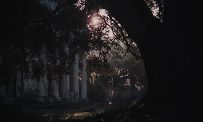 The_Beguiled_mp45219.jpg