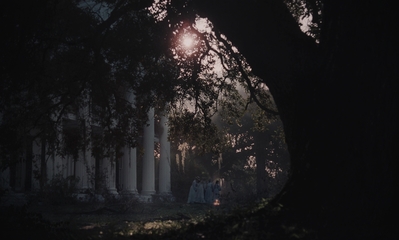 The_Beguiled_mp45230.jpg