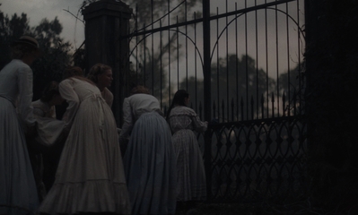 The_Beguiled_mp45246.jpg
