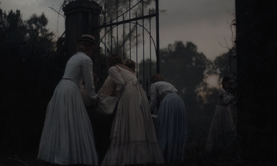 The_Beguiled_mp45249.jpg