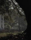 Filename=The_Beguiled_mp40469.jpg
Filesize=1016KiB
Dimensions=1792x1080
Date added=Aug 17, 2021 The_Beguiled_mp40469.jpg