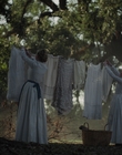 Filename=The_Beguiled_mp41289.jpg
Filesize=1089KiB
Dimensions=1792x1080
Date added=Aug 17, 2021 The_Beguiled_mp41289.jpg