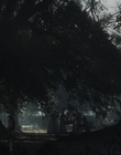Filename=The_Beguiled_mp43862.jpg
Filesize=1019KiB
Dimensions=1792x1080
Date added=Aug 17, 2021 The_Beguiled_mp43862.jpg