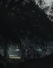 Filename=The_Beguiled_mp43865.jpg
Filesize=1042KiB
Dimensions=1792x1080
Date added=Aug 17, 2021 The_Beguiled_mp43865.jpg