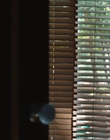 Filename=Every_Day_mp40120.jpg
Filesize=477KiB
Dimensions=1920x804
Date added=Aug 17, 2021 Every_Day_mp40120.jpg