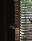 Filename=Every_Day_mp40121.jpg
Filesize=458KiB
Dimensions=1920x804
Date added=Aug 17, 2021 Every_Day_mp40121.jpg