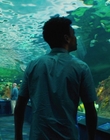 Filename=Every_Day_mp40438.jpg
Filesize=904KiB
Dimensions=1920x804
Date added=Aug 17, 2021 Every_Day_mp40438.jpg
