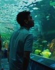 Filename=Every_Day_mp40439.jpg
Filesize=943KiB
Dimensions=1920x804
Date added=Aug 17, 2021 Every_Day_mp40439.jpg